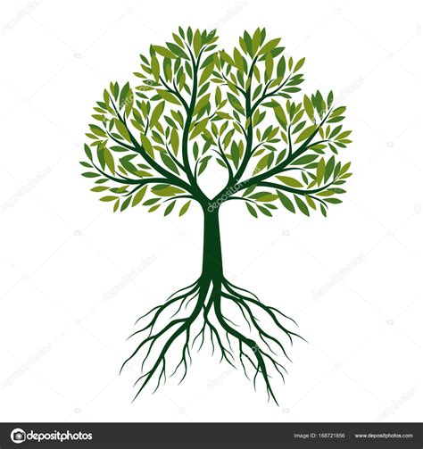 Green Tree With Roots Vector Illustration Stock Vector By