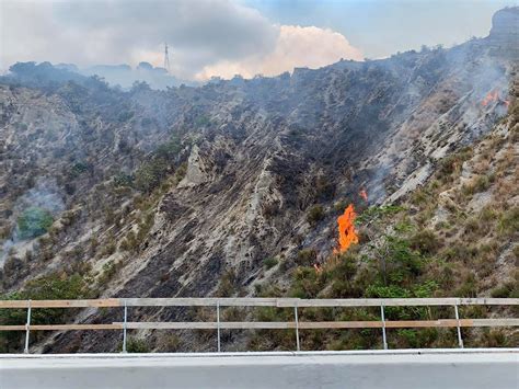 Reggio Calabria Vasto Incendio Sulle Colline Di Pentimele Fiamme Nei