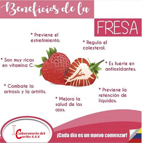 Beneficios De La Fresa En Los Ninos Estos Beneficios Nbkomputer