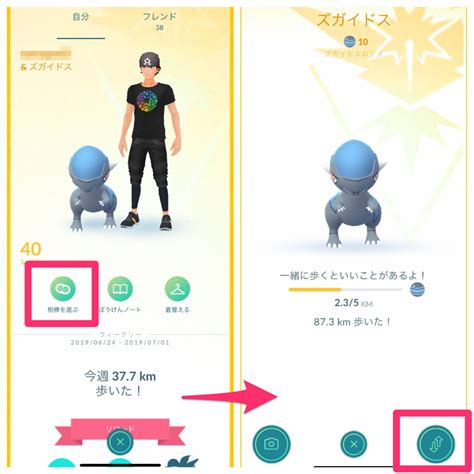 ポケモン ヒンバス 相棒