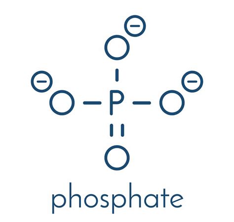 Phosphate vs Phosphite: Let's Know about Both