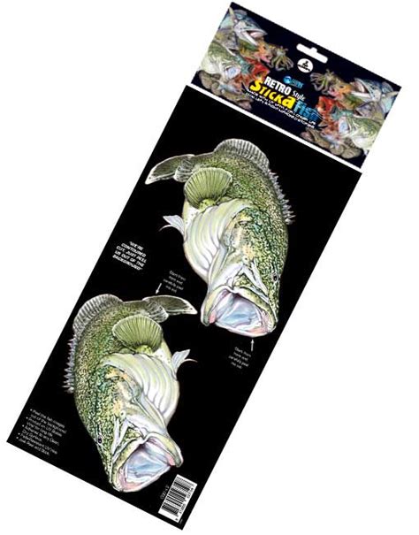 Retro Style Sticka Fish Murray Cod Afn Fishing Outdoors