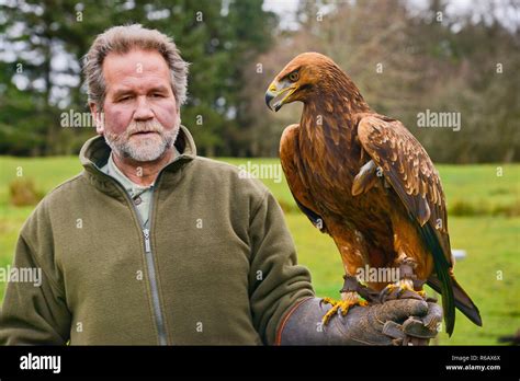 Ireland County Sligo Ballymote Eagles Flying Tourist Attraction