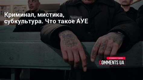 Что такое АУЕ - обьяснение | Комментарии Украина