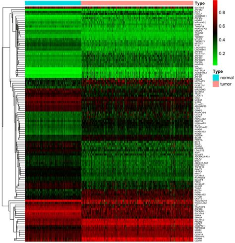 Heat Map Of Differential Methylation Genes Bidirectional Hierarchical