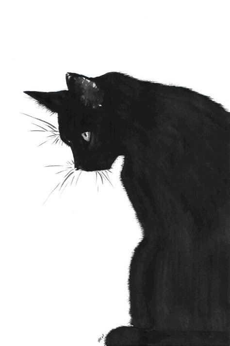 Black Cat By Midniterain Black And White Sketches Black White Art