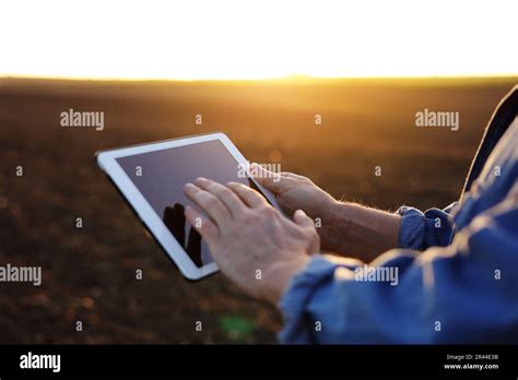 La Grenaille Des Mains Des Agriculteurs M Les Utilise Une Tablette