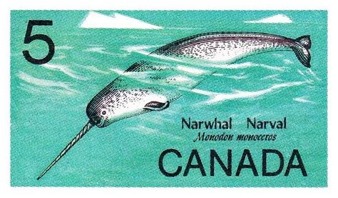 Narwhals Art Pixels