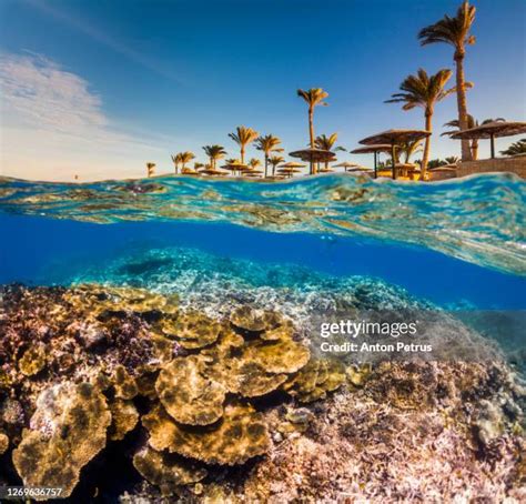 Red Sea Islands Photos and Premium High Res Pictures - Getty Images