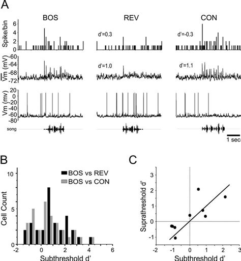 A Comparison Of Subthreshold And Suprathreshold Responses Of Cm