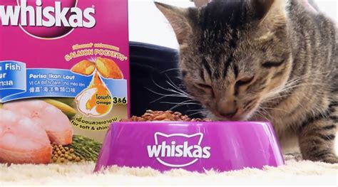 Whiskas Logos Download