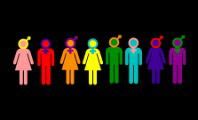 Cisgênero: entenda o que é (e o que significa Homem Cis e Mulher Cis ...