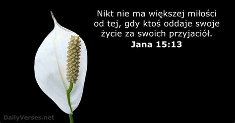 Wersety Biblijne O Ofierze Dailyverses Net