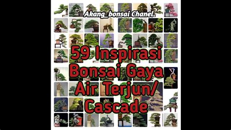 Inspirasi Bonsai Gaya AirTerjun Cascade Bonsai Terbaik Inspirasi YouTube