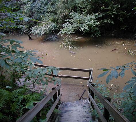 Kankakee River State Park – Illinois | Tripomatic