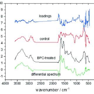 The Average Ftir Spectra Of The Control Group Red Line And Bpc