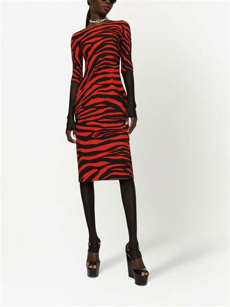 Dolce Gabbana Zebra Printed Midi Dress In Black Modesens