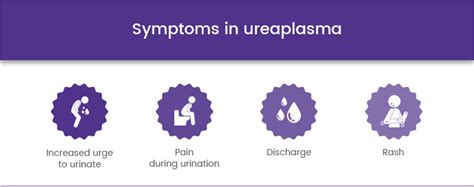 Ureaplasma Urealyticum And U Parvum Infection Test In Dubai Std