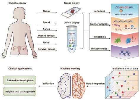 Schematic Representation Of Multi Omics Approaches Towards Biomarker