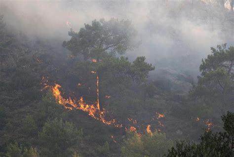 Incendies en Grèce le voyagiste TUI suspend ses vols touristiques