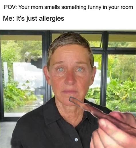 Ellen Stoned Imgflip