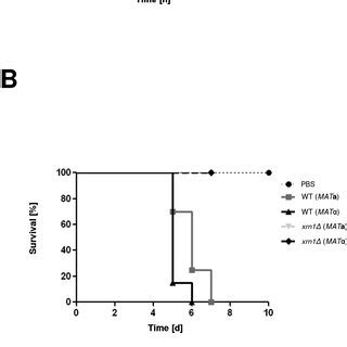 Xrn Cells Are Avirulent A Growth Curves Of Wild Type And Xrn Cells