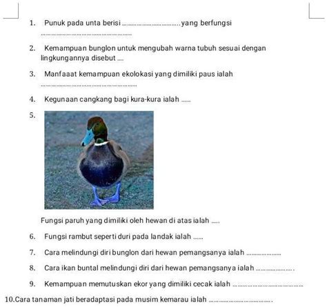 Solved Mohon Bantuannya Ya Kakmakasih Punuk Pada Unta Berisi Yang