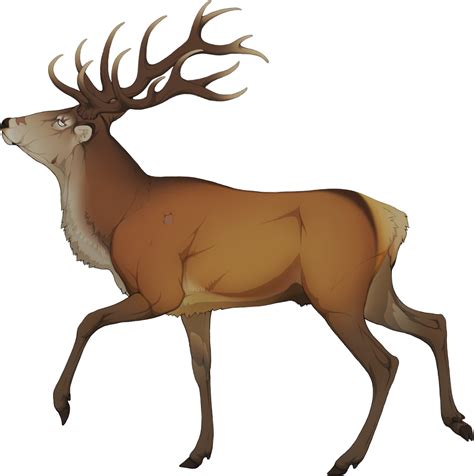 Elk Clipart Golden Deer Elk Png Download Full Size Clipart