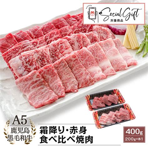 【送料無料】a5等級 鹿児島県産黒毛和牛 霜降り・赤身 食べ比べ焼肉 400g200g×2｜カミチク ファーマーズマーケット｜上質な和牛を鹿児島から