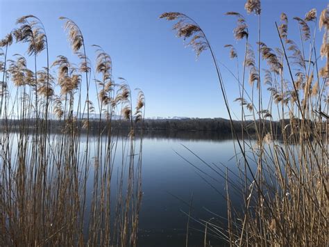 Tachinger See Lago Di Wago