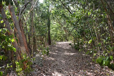 Key Largo Hammock Botanical State Park | Florida Hikes!