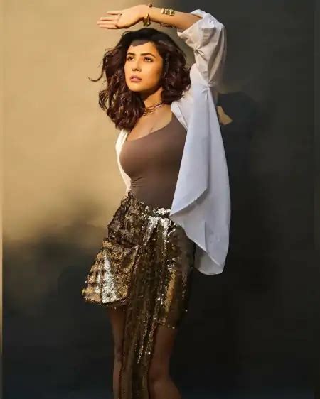 Shehnaaz Gill Top 20 Hot Pics And Photo