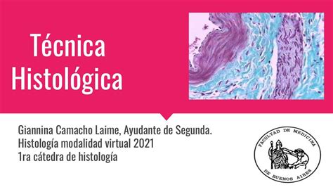 Esquema De Tecnicas Histologicas