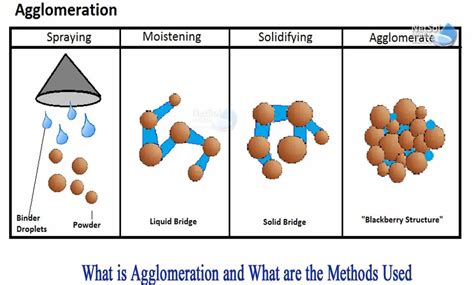 Difference Between Agglomeration And Deglomeration Relationship Between