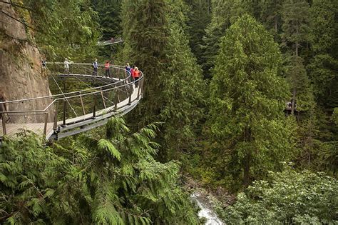 Capilano Suspension Bridge Man Made Hq Capilano Suspension Bridge 2019 North Vancouver Hd