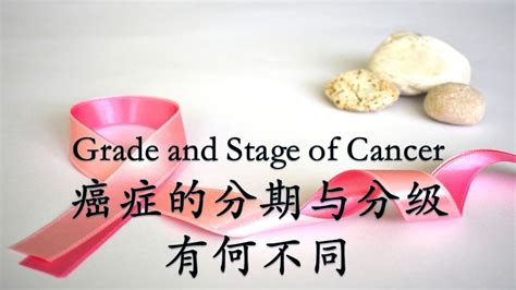 癌症的分期和分级有何不同，grade And Stage Of Cancer Youtube