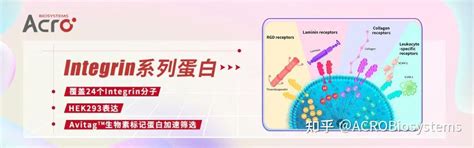 靶点新势力粘附大师结肠炎治疗的新靶点Integrin α4 β7 知乎