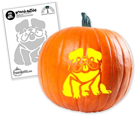 Bulldog Pumpkin Carving Stencil Pumpkin Hq