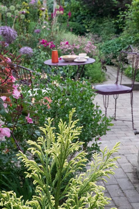 21 Shrub Garden Design Ideas You Should Check Sharonsable