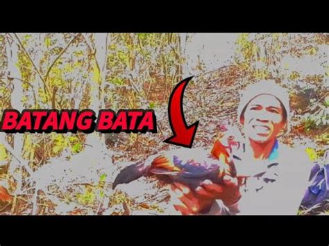 BATANG LABUYU ANG NAHULI KO D Hunter Buhay Probensya YouTube