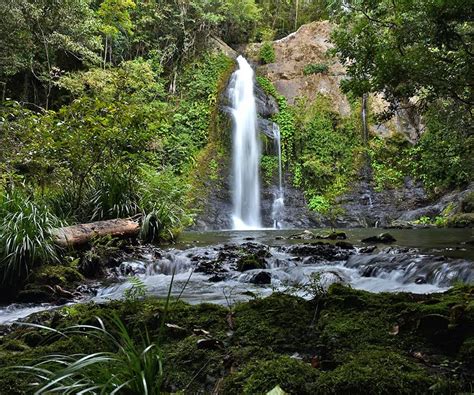 Daintree Waterfall Where You Can Swim Cassowary Falls