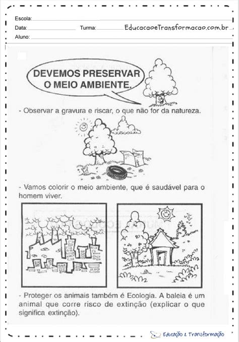 Atividades Sobre Meio Ambiente Devemos Preservar O Ambiente