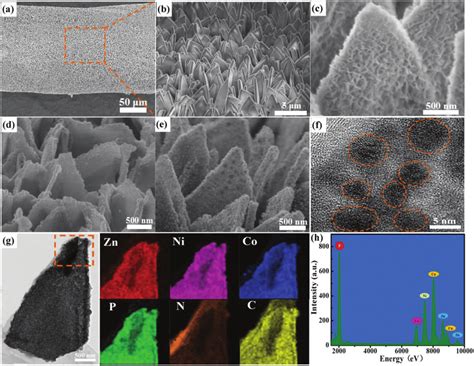 Characterization Of Cathodes A B Sem Images Of Zn Co Mof Nanosheet