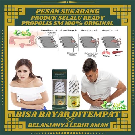 Jual Obat Tumor Usus Kanker Usus Besar Radang Usus Penyakit Usus