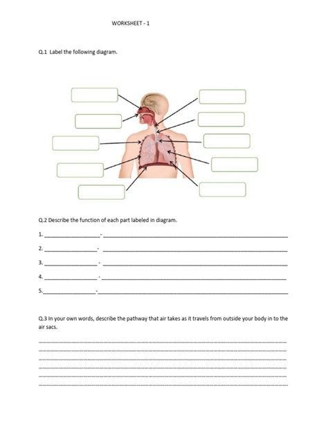 Grade 7 Biology Worksheet Pdf