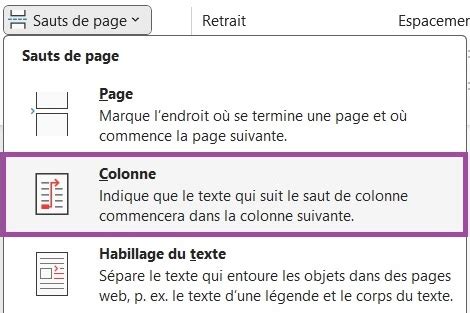 Colonnes indépendantes sur Word La Pro du Bureau