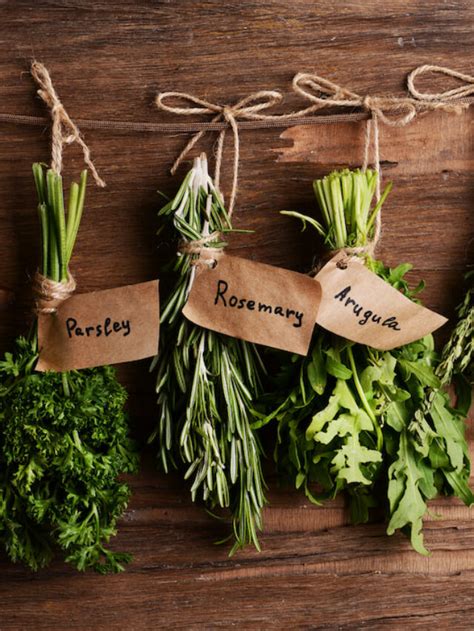 Types of Herbs - Farmhouse Guide