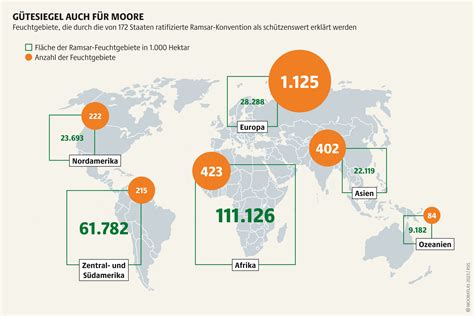 Mooratlas 2023 Daten Fakten zu nassen Klimaschützern