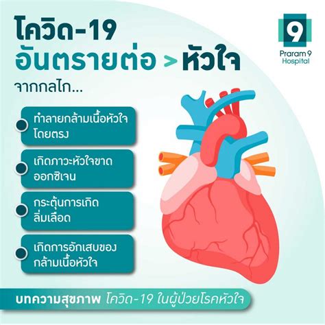 โควิด 19 ในผู้ป่วยโรคหัวใจ และอาการทางหัวใจหลังได้รับเชื้อ