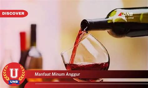 Temukan 6 Manfaat Minum Anggur Yang Jarang Diketahui